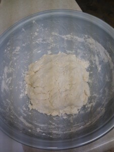 All mixed.  Now just cover and wait.  I covered mine with a dish towel.