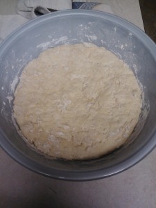 The dough has risen!! This is about 15 hours later.