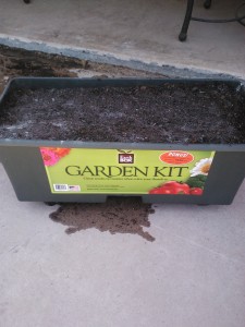 Here is my box ready for seeds.
